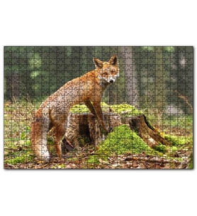 Cakapuzzle Ormanda Kütük Üzerindeki Çelimsiz Tilki  Puzzle Yapboz MDF (Ahşap) (500 Parça)
