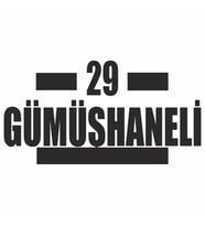 29 Gümüşhaneli Araba Sticker siyah 16x9 CM (Siyah)