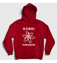 Presmono Unisex Gri Team Sheldon The Big Bang Theory Kapüşonlu Sweatshirt 181811tt (Kırmızı)