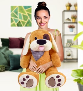 Karizmatik Korsan Köpek  (%100 yerli ) (Kahverengi Açık)