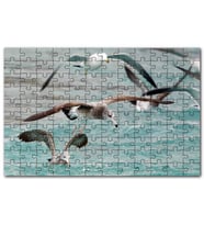 Cakapuzzle Martılar ve Dalgalı Deniz Arkaplan Puzzle Yapboz MDF (Ahşap) (500 Parça)