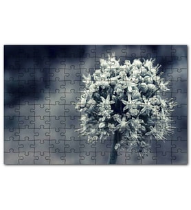 Cakapuzzle Dal ve Tomurcuk Şeklinde Çiçek Siyah Beyaz Puzzle Yapboz MDF (Ahşap) (255 Parça)