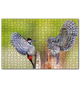 Cakapuzzle  Ağaçkakan ve Baykuş  Puzzle Yapboz MDF (Ahşap) (500 Parça)