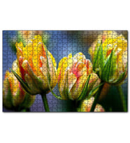Cakapuzzle Sarı Yeşil Çiçekler Yakın Plan  Puzzle Yapboz MDF (Ahşap) (500 Parça)