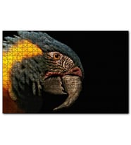 Cakapuzzle Sarı Siyah Papağan Siyah Arkaplan  Puzzle Yapboz MDF (Ahşap) (255 Parça)