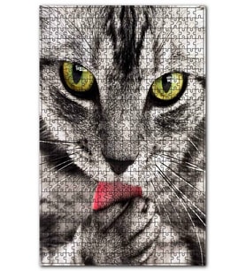 Cakapuzzle Patilerini Yalayan Kedi Yakın Çekim Puzzle Yapboz MDF (Ahşap) (255 Parça)