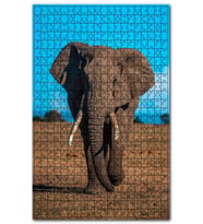 Cakapuzzle Çayırda Yetişkin Afrika Fili Puzzle Yapboz MDF (Ahşap) (1000 Parça)