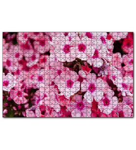 Cakapuzzle Pembe Plumeria Çiçekleri  Puzzle Yapboz MDF (Ahşap) (255 Parça)