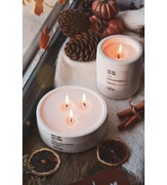 Mavi Renk Soya Wax Amber Vanilya Kokulu Dekoratif Hediyelik 2li Beton Saksı (Beyaz)