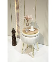 Bianco Metal Ayaklı Puflu Sehpa (Beyaz-Altın)