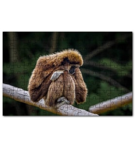 Cakapuzzle Bambu Üzerinde Dinlenen Gibbon Maymunu Puzzle Yapboz MDF (Ahşap) (500 Parça)