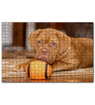 Cakapuzzle Kahverengi Boxer Yavrusu ve Turuncu Topu  Puzzle Yapboz MDF (Ahşap) (1000 Parça)