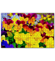 Cakapuzzle Hercai Menekşe Renkli Yaprakları Görsel  Puzzle Yapboz MDF (Ahşap) (255 Parça)