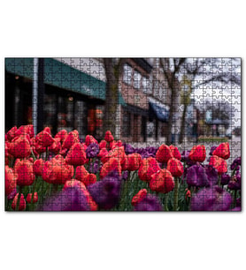 Cakapuzzle Kırmızı ve Mor Laleler  Puzzle Yapboz MDF (Ahşap) (1000 Parça)