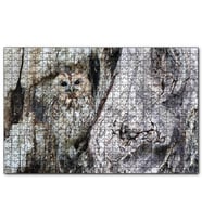Cakapuzzle Baykuş ve Ağaçla Muhteşem Kamuflajı  Puzzle Yapboz MDF (Ahşap) (500 Parça)
