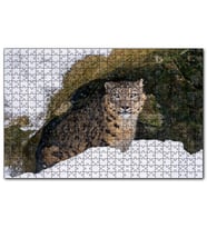 Cakapuzzle Mağara Ağzında Kar Leoparı  Puzzle Yapboz MDF (Ahşap) (500 Parça)