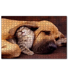 Cakapuzzle Sevimli Sharpy Köpek ve Yavru Kedi  Puzzle Yapboz MDF (Ahşap) (500 Parça)
