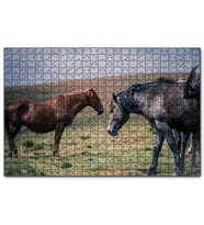 Cakapuzzle Çayırda Yılkı Atları  Puzzle Yapboz MDF (Ahşap) (500 Parça)