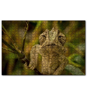 Cakapuzzle Dalda Boz Renkli Bukalemun  Puzzle Yapboz MDF (Ahşap) (500 Parça)