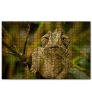 Cakapuzzle Dalda Boz Renkli Bukalemun  Puzzle Yapboz MDF (Ahşap) (500 Parça)
