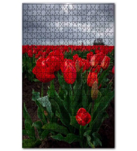 Cakapuzzle Bulutlu Lale Tarlası ve Uzakta Yeldeğirmeni Puzzle Yapboz MDF (Ahşap) (500 Parça)