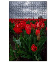 Cakapuzzle Bulutlu Lale Tarlası ve Uzakta Yeldeğirmeni Puzzle Yapboz MDF (Ahşap) (500 Parça)
