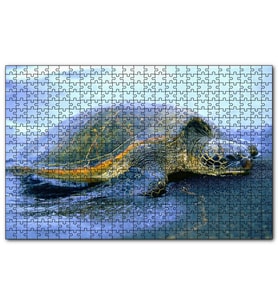 Cakapuzzle Kumsala Çıkan Caretta Caretta  Puzzle Yapboz MDF (Ahşap) (1000 Parça)