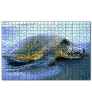 Cakapuzzle Kumsala Çıkan Caretta Caretta  Puzzle Yapboz MDF (Ahşap) (1000 Parça)