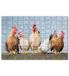 Cakapuzzle Duvarın Üstünde Kahverengi Beyaz Tavuklar Puzzle Yapboz MDF (Ahşap) (1000 Parça)