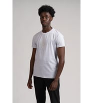 Paul Martin Bisiklet Yaka Önü Baskılı Pamuklu Basic Regular Fit T-shirt (Gri)