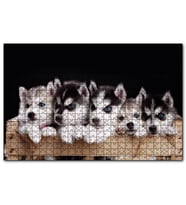 Cakapuzzle Tahta Kasa İçinde Beş Husky Yavrusu  Puzzle Yapboz MDF (Ahşap) (1000 Parça)