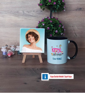 Kimya Öğretmeni Fotoğraflı Dekoratif Taş, Kupa Bardak Beyaz Hediye (Model 11)