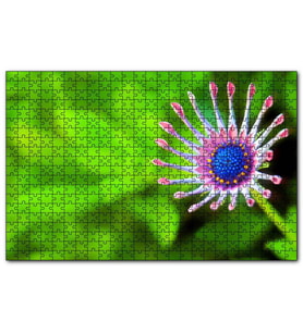 Cakapuzzle Yakın Çekim Çiçek Yeşil Flu Arkaplan  Puzzle Yapboz MDF (Ahşap) (1000 Parça)