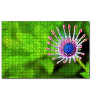 Cakapuzzle Yakın Çekim Çiçek Yeşil Flu Arkaplan  Puzzle Yapboz MDF (Ahşap) (1000 Parça)