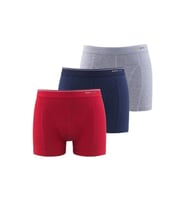 9673 Erkek Boxer 3'lü Paket Tender Cotton - Siyah - L (Gri - Lacivert - Kırmızı)