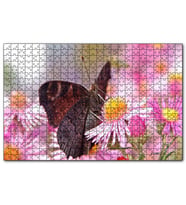 Cakapuzzle Mor Çiçeklerin Üzerindeki Kahverengi Kelebek  Puzzle Yapboz MDF (Ahşap) (1000 Parça)