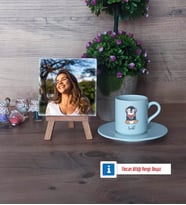 Tatlı Penguen Fotoğraflı Dekoratif Taş, Ahşap Altlıklı Türk Kahvesi Fincanı Hediye (Model 2)