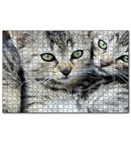 Cakapuzzle Tekir Yavru Kediler  Puzzle Yapboz MDF (Ahşap) (1000 Parça)