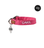 İsimli Kedi Tasması Kedi Boyun Tasması Ayarlanabilir 17- 29 cm (Pembe)