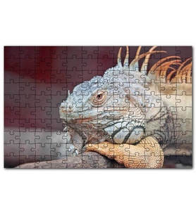 Cakapuzzle Dal Üzerinde Dinlenen Dev Kertenkele Puzzle Yapboz MDF (Ahşap) (1000 Parça)