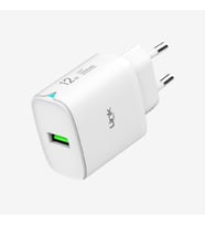 C301 GÜÇLÜ 12W MİCRO USB KABLOLU HIZLI ŞARJ ADAPTÖRÜ (Beyaz)