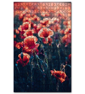 Cakapuzzle Kırmızı Gelincikler Puzzle Yapboz MDF (Ahşap) (1000 Parça)