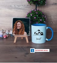 Sevimli Panda Fotoğraflı Dekoratif Taş, Kupa Bardak Beyaz Hediye (Model 4)
