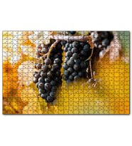 Cakapuzzle Asma Dalında Kara Üzümler  Puzzle Yapboz MDF (Ahşap) (255 Parça)