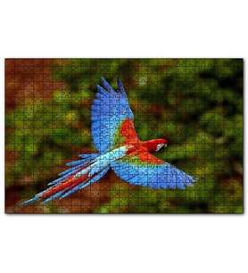 Cakapuzzle Mavi Turuncu Renkli Uçan Papağan  Puzzle Yapboz MDF (Ahşap) (500 Parça)