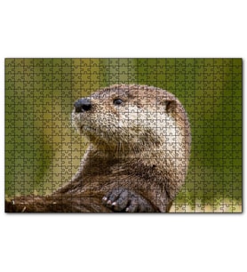 Cakapuzzle Su Samuru Yakın Plan  Puzzle Yapboz MDF (Ahşap) (255 Parça)