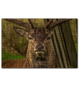 Cakapuzzle Görkemli Geyik Yakın Çekim  Puzzle Yapboz MDF (Ahşap) (255 Parça)