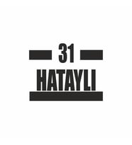 31 Hataylı Araba Sticker siyah 16x9 CM (Siyah)