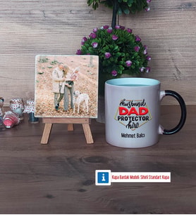 Babaya Hediye Fotoğraflı Dekoratif Taş, Kupa Bardak Beyaz Hediye Babaya Doğum Günü Hediyesi (Model 9)