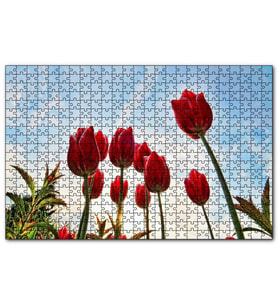 Cakapuzzle Kırmızı Lale Bahçesi Görseli  Puzzle Yapboz MDF (Ahşap) (255 Parça)